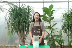 小江收到一位花友寄来的快递，正是自己心仪的盆栽，开心了视频封面