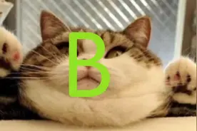 【搞笑视频】：惊魂！太平间面试遇诈尸视频封面