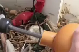 手艺人把葫芦制作成酒壶，这样的制作过程我还是第一次见！