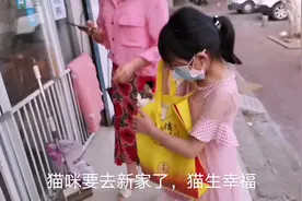 实拍武汉爱宠人士小佩宠物店猫咪剪指甲被领养全过程#激萌奖金#