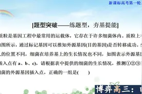 2020新高考：高中生物选修3--基因工程专题 (5)视频封面