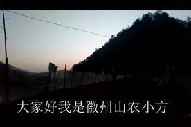 托运松线虫树焚烧视频封面