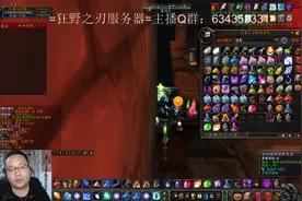 大胖！魔兽怀旧指导员！200法伤的法师BWL老四极限DPS！视频封面