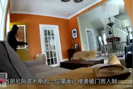 老外测试几种宠物狗在危难时刻能否保护主人，结果让人大感意外视频封面