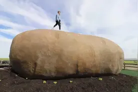 住在“巨型土豆”里面有多爽？小伙亲自尝试，网友：太奢侈了！