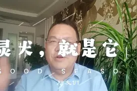 就是它灵犬，帮你提高播放量和推荐量，朋友们赶快来试试吧视频封面
