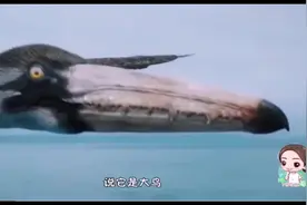世界上最大的老鹰，长8米，重140斤，老虎、狮子也不是对手视频封面