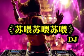 《苏喂苏喂苏喂》DJ，带上耳机，音量开到最大，会让耳朵怀孕
