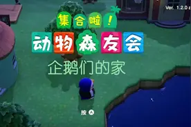 【动物森友会】【小动物的家集锦——企鹅篇】