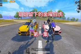 姐姐执行神秘任务，与队友失去联系，临走前留下了金曜白虎