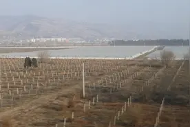 坐着高铁回天水视频封面