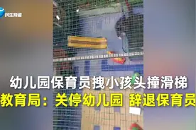 幼儿园保育员拽小孩头撞滑梯 教育局：关停幼儿园 辞退保育员视频封面