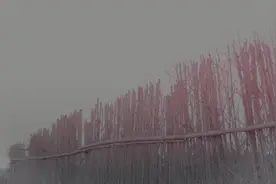 （华语MV）LOLLIPOP F - 《还要一起冲》词：姚若龙 曲：姚书寰视频封面