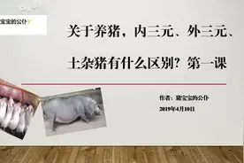 内三元、外三元、土杂猪有什么区别？通俗易懂的讲解在这里！视频封面
