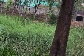 徐宿淮盐高铁实验了视频封面