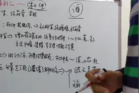 中药杜仲功效与应用介绍