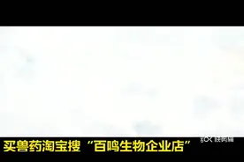 淘宝店店名“百鸣生物企业店”，济南百鸣生物制药有限公司视频封面