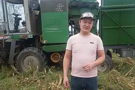 山东收玉米，乡村小伙带你们看看多少钱一亩？听完这价格便宜吗？视频封面