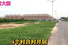 山东农村4个村子合并统一居住，看看这种楼房，和您哪里一样吗视频封面