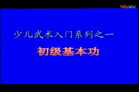 武术基本功（初级篇）视频封面