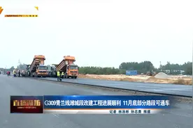 重磅！G309青兰线潍城段改建工程进展顺利 11月底部分路段可通车视频封面