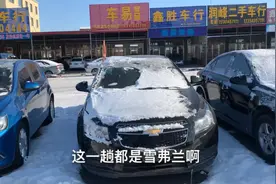 为什么有些人买车那么费劲？我想应该没作好预算，听听金紫咋说视频封面