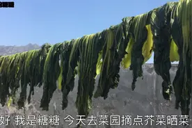 我家的菜干从不在外面买，教你简单制作做法，比新鲜菜还好吃！视频封面