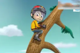 狗狗们在自家院子里打冰球，这都是有钱人的运动哦