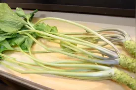 日本寿司大厨用新鲜芥末草，制作寿司配料，原来芥末是这样做的视频封面