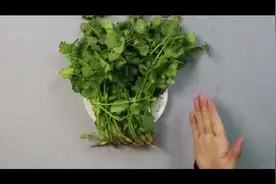 吃香菜功效多，但吃香菜也有讲究，这3类人不宜吃，劝你了解一下视频封面