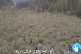 社保一共分为三档，退休以后的钱一样吗？视频封面