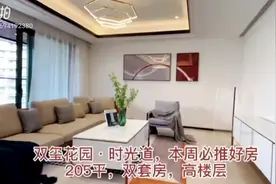 #楼市有料  无双山海-双玺时光道
 205平-最贴近市场户型
 海上世界双玺花园-时光道图片