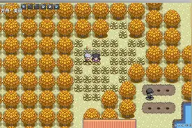 POKEMMO丰源攻略第二期（卡那兹市道馆）视频封面