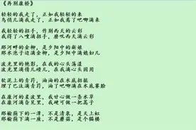 东北话版《再别康桥》再试试能听懂不？视频封面