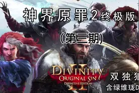 最新版神界原罪2终极版 双独狼全流程 第三期欢乐堡地牢视频封面