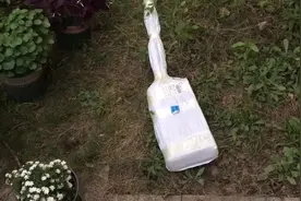二兔子爸租院子种花，改造花园第一步，从工具开始视频封面