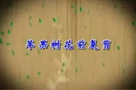 苹果树如何进行花前复剪视频封面