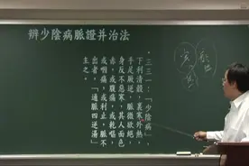 倪海厦讲伤寒之胆结石方-四逆散