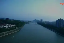 银行案例警示教育片视频封面