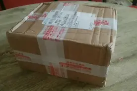 拼多多花59元买了两只山东德州扒鸡，打开包装吓一跳，这是扒鸡吗视频封面