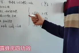 中药露蜂房的功效及用法视频封面