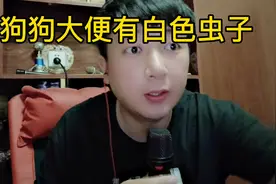 狗狗大便里有白色虫子？狗狗体内有寄生虫用什么驱虫药？视频封面