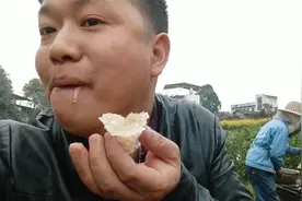 蜂蜜滞销，蜂农找老李寻找销路，蜂农说出价格后吓一跳，太便宜了视频封面