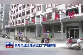 【十堰】景阳毛绒玩具扶贫工厂产销两旺视频封面