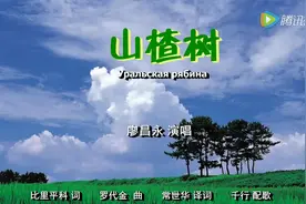 廖昌永一首凄美绝唱《山楂树》，歌声太美了，让人如痴如醉！