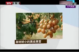 黄皮果应该怎么吃？吃多少才能起降血糖的作用？专家老师有话说