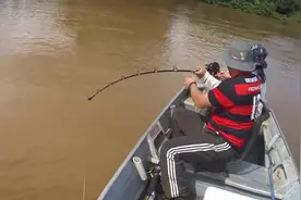 黄水河中钓巨型鲶鱼王，简直是拿命在搏！