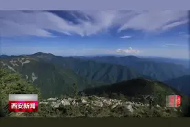 西安市将严查非法捕猎 对破坏野生动植物资源犯罪实施精准打击视频封面