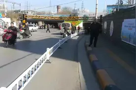 逛宠物市场在鸟市一只红鼻子鹦鹉幼鸟900元，一转眼买走完了视频封面