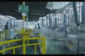 华海药业，把药卖到美国，创始人陈保华：国际化战略上扬帆远航视频封面
